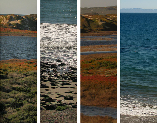 California coast