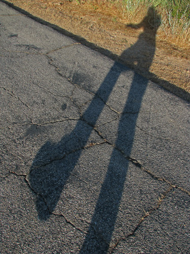 shadow walking