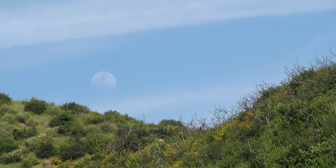 moonrise over hillside