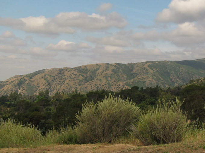 hillside, sagebrush & clouds