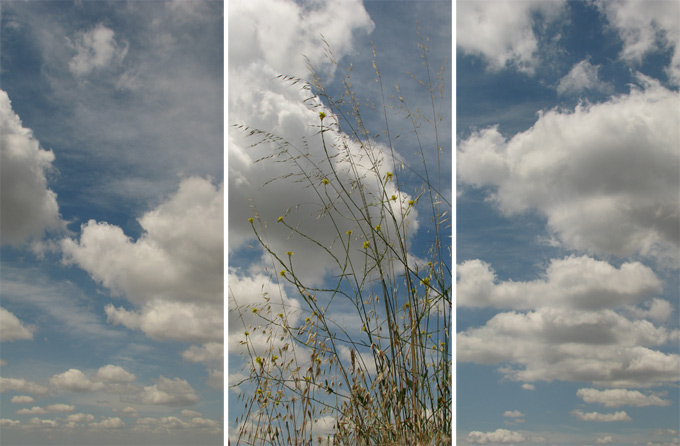 sky clouds grass