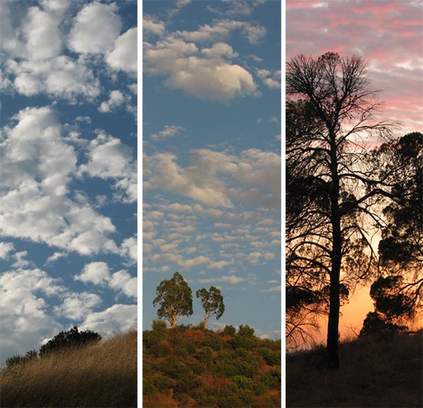 August sunset triptych