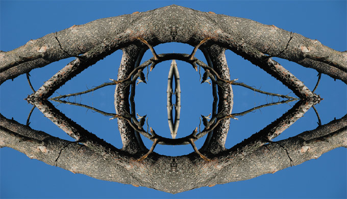 UNK tree, flipped2x
