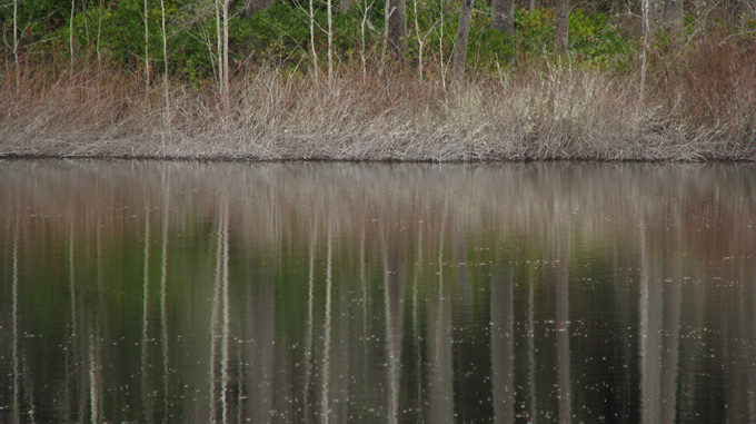 Fisher Pond, reflection