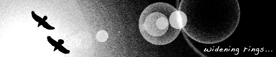 widening rings…